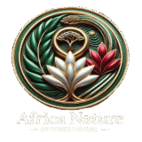https://africanaturemedecine.com/wp-content/uploads/2025/08/logo_new-160x160.png